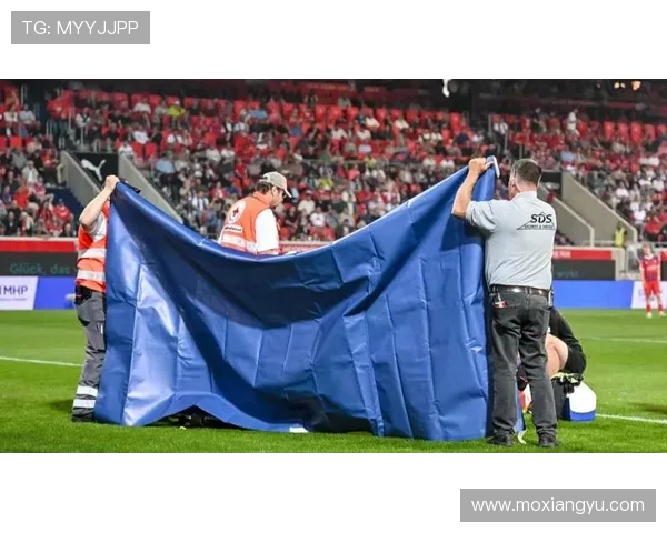 [德甲]意外与失误 以及之后的事.